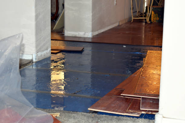 Professional Sewage Cleanup technician working in Cleveland, MN